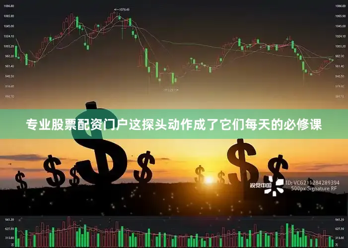 专业股票配资门户这探头动作成了它们每天的必修课